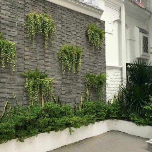 Đá núi lửa ghép 10*50 › Sản phẩm