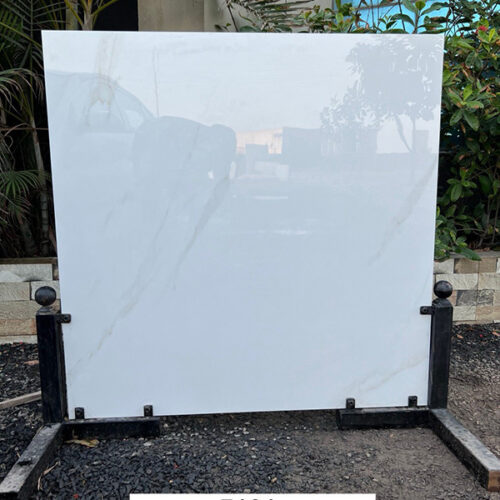 Gạch lát nền Ấn Độ 100×100 7101